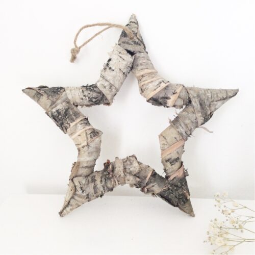 Birch Bark Star