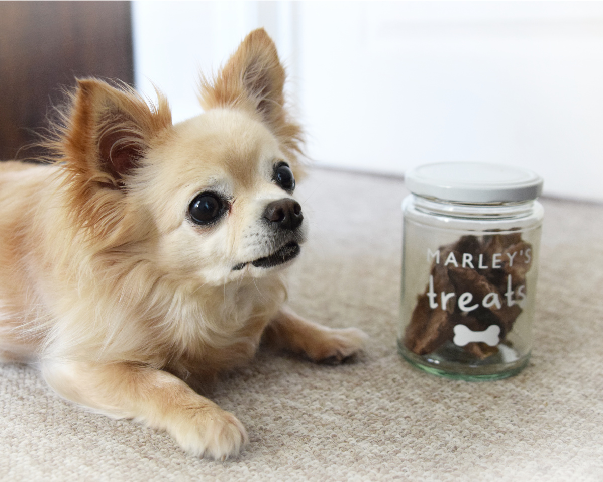 Personalised Pet Treat Jar